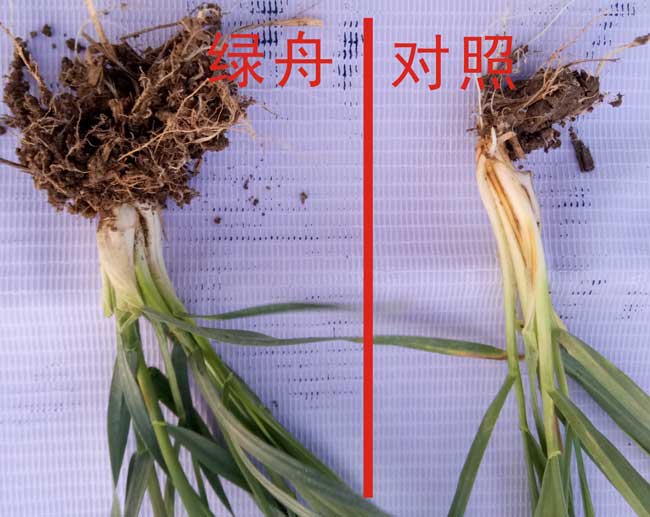 圖形1.jpg